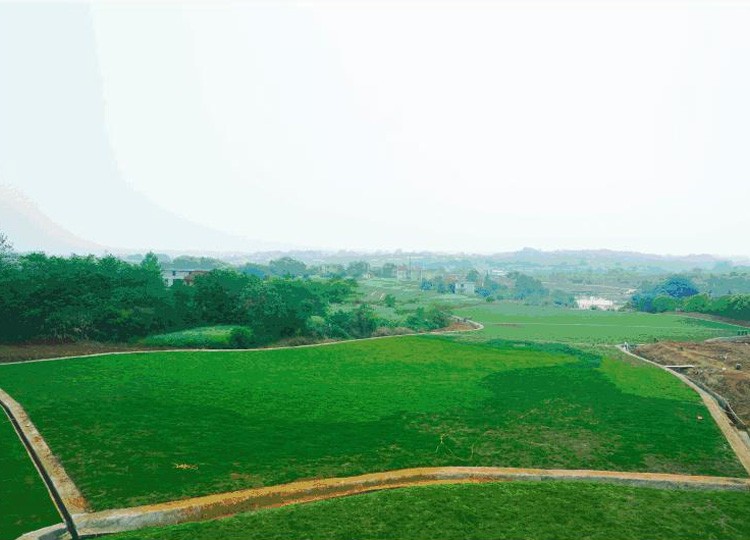 柴桑区历史遗留矿山重金属污染治理项目